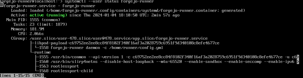 Screenshot of the output of systemctl status showing that the service forgejo-runner is active